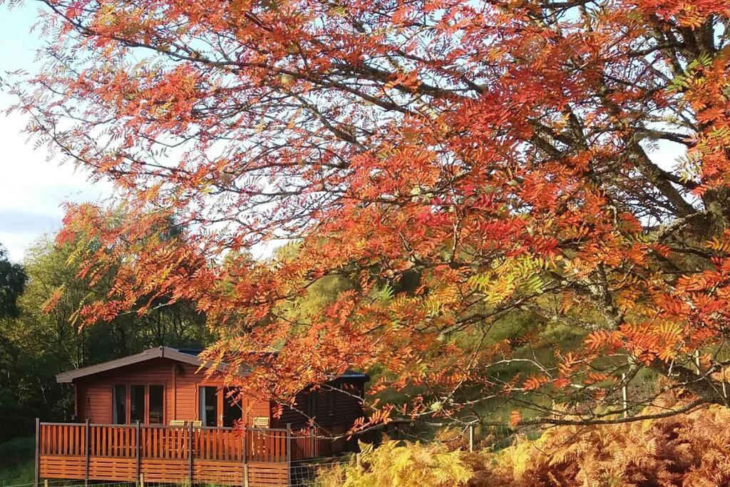 Glas Doire Lodge, Glen Roy Nature Reserve Roybridge Exteriér fotografie